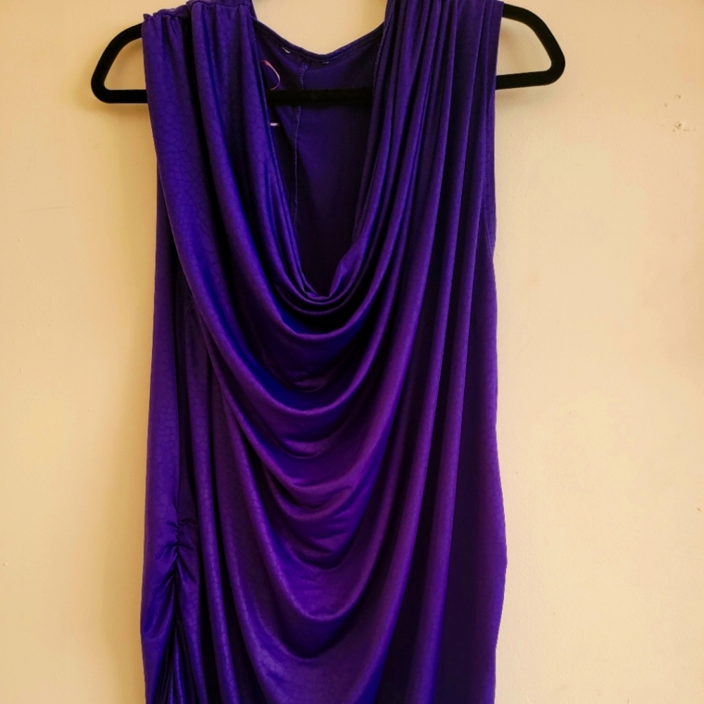 Purple Blouse